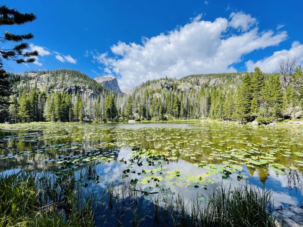 Nymph Lake