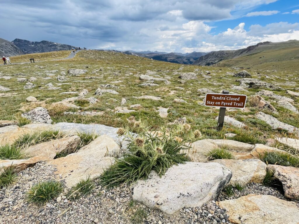 Gore Range Overlook